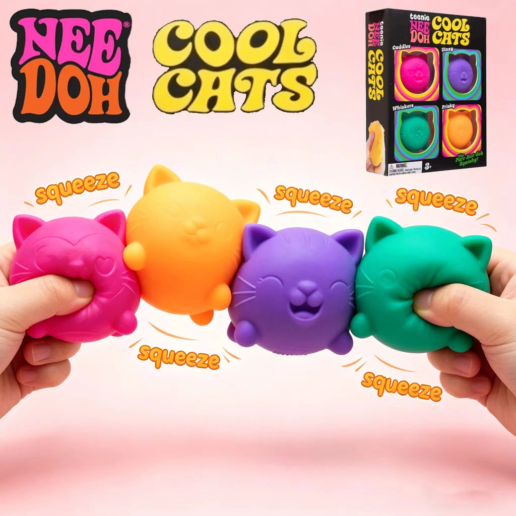 Schylling NeeDoh Nice Cube & Cool Cats